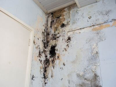 About water damage restoration service - burst pipe water damage experts in Raleigh